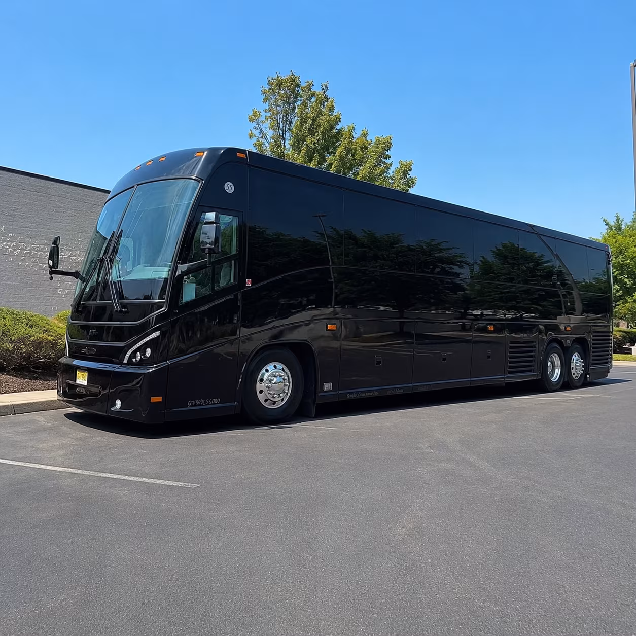 whatever brings your cary group together there s a long distance bus ready for the trip